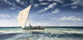 Oil painting of a traditional dhow with a white sail on turquoise sea.